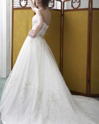 Svatební šaty - Ikona